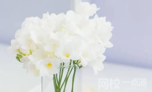 德州學(xué)院錄取分?jǐn)?shù)線2022年