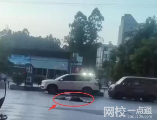 疑女子跳樓砸中路人:2具遺體被拉走 慘不忍睹內幕簡直不忍直視
