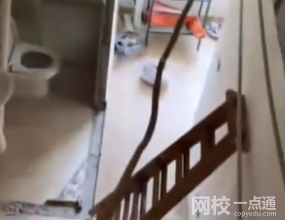 女子新房閣樓墻遭鄰居砸穿想共用 始料未及真相簡直令人崩潰