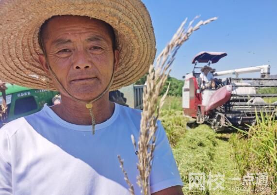 鄱陽湖河床變草原 當地人開車飛馳 出來的草大概有二三十厘高