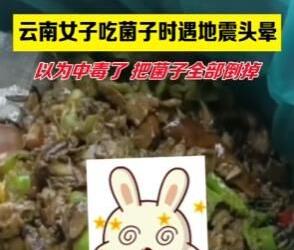 云南女子吃菌子遇地震頭暈以為中毒 背后真相實在讓人驚訝