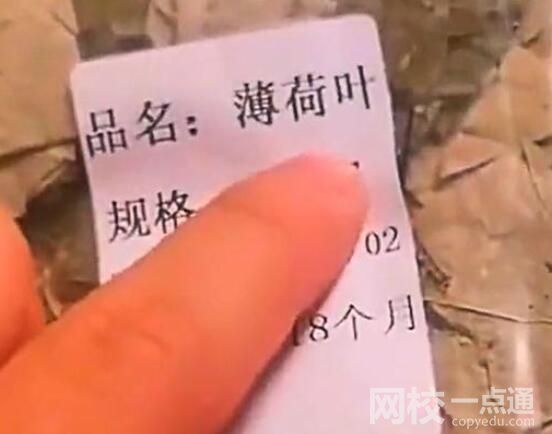男子網(wǎng)購(gòu)薄荷葉收到“薄”荷葉 背后真相實(shí)在讓人驚愕