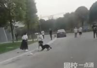 3歲男童路遇烈犬掙脫狗繩撕咬 內幕曝光簡直太意外了