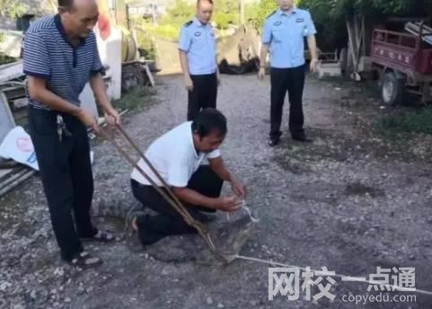 女孩網購毒蛇當寵物 一個月后身亡 詳細事件是怎么一回事？
