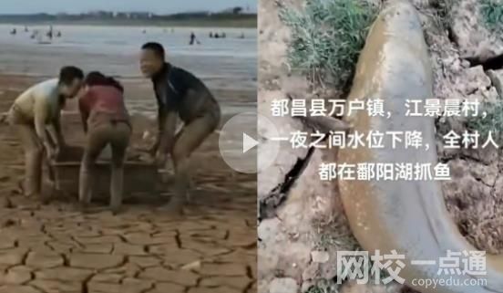 市民到鄱陽湖撿魚 官方:很危險(xiǎn) 具體是什么情況?