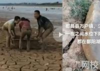 市民到鄱陽湖撿魚 官方:很危險 干旱導致水域面積縮小9成