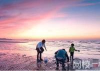 煙臺海腸爆發 有人一晚撈上千斤 周圍甚至還堵起了車