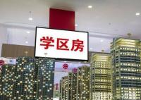 老人借房給重孫上學孫子拒還 背后真相實在讓人驚愕