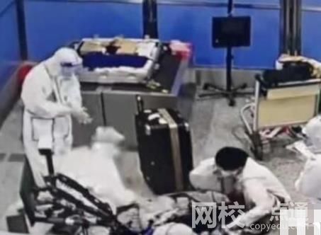 托運行李內藏199只活龜7條活蛇 現場畫面實在是太驚人了