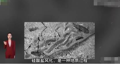 新研究發現地球可自我調節溫度 研究人員認為這是一種“穩定反饋”機制
