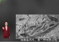 新研究發現地球可自我調節溫度 研究人員認為這是一種“穩定反饋”機制