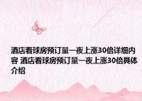 酒店看球房預訂量一夜上漲30倍 數據顯示酒店整體預訂以男性用戶為主