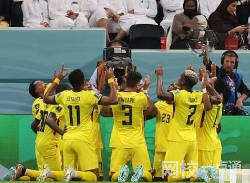 厄瓜多爾球員進球后悼念前國腳 厄瓜多爾總統第一時間發推慶祝球隊勝利