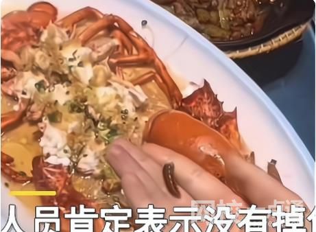 食客點(diǎn)龍蝦做記號上菜后發(fā)現(xiàn)被換 事情真相究竟是什么