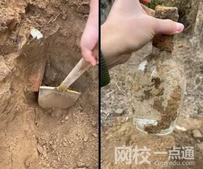 男子4年級時(shí)埋白酒打算娶媳婦喝真相曝光