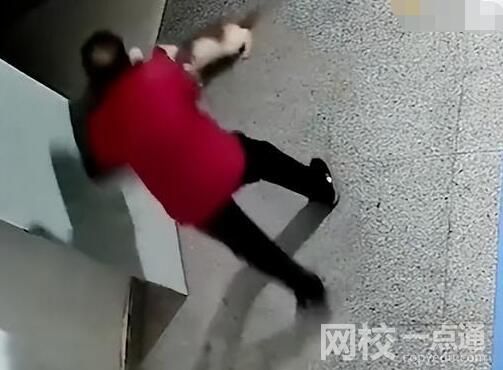 殘疾流浪貓遭老人惡意踢打驅趕 為什么引爭議？