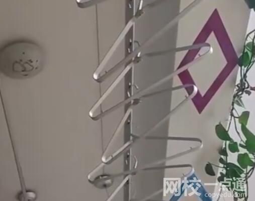 新疆震感現(xiàn)場:居民家植物衣架搖晃 始料未及真相簡直太驚人
