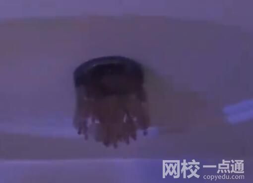新疆震感現場:居民家植物衣架搖晃 原因竟是這樣太可怕了