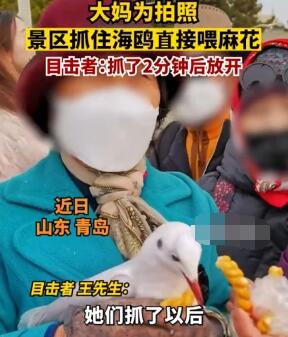 大媽為拍照景區抓住海鷗喂麻花 究竟是怎么回事？