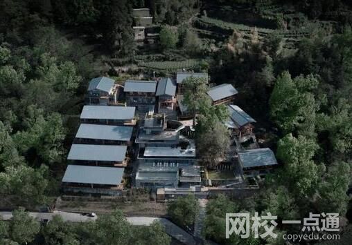 養豬不如養上海人!這話傳遍旅游圈 究竟是怎么回事？