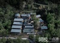 養豬不如養上海人!這話傳遍旅游圈 內幕曝光簡直太意外了