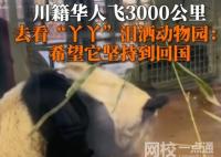 川籍華人飛3000公里看丫丫哭了 內幕曝光簡直太意外了