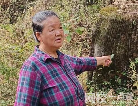 孕婦被拐賣34年兒子帶母追責 原因實在令人震驚