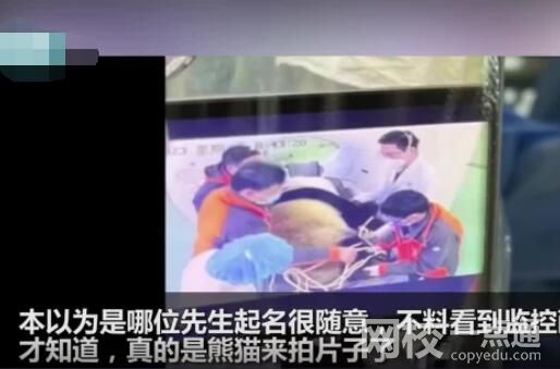 醫(yī)院有位患者叫熊貓是真熊貓 背后真相實在讓人驚愕