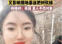 女子算命核桃樹擋姻緣家人將樹砍掉 原因實在太意外了