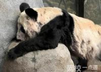 多地商場為丫丫投屏:平安回家 意外至極真相簡直讓人始料未及