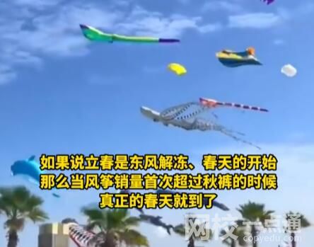 海洋風箏爆火 網友:春天的信號 究竟是怎么回事？