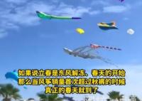 海洋風(fēng)箏爆火 網(wǎng)友:春天的信號(hào) 究竟是怎么回事？