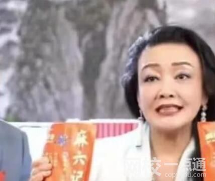 張蘭回應海外欠債9.8億 背后真相實在讓人驚愕