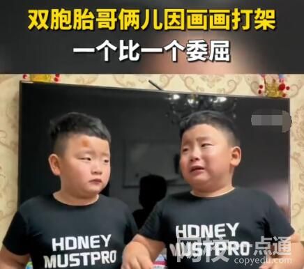 雙胞胎萌娃打架道歉成相聲現場 述和互相道歉的環節太搞笑了