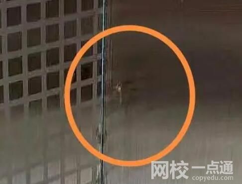 剛三月就有蚊子?專家解釋 始料未及真相簡直令人震驚