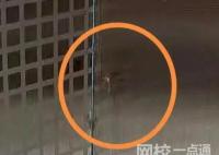 剛三月就有蚊子?專家解釋 始料未及真相簡直令人震驚