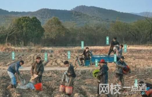 這群年輕人 在綜藝節目中“種地” 內幕曝光簡直太意外了
