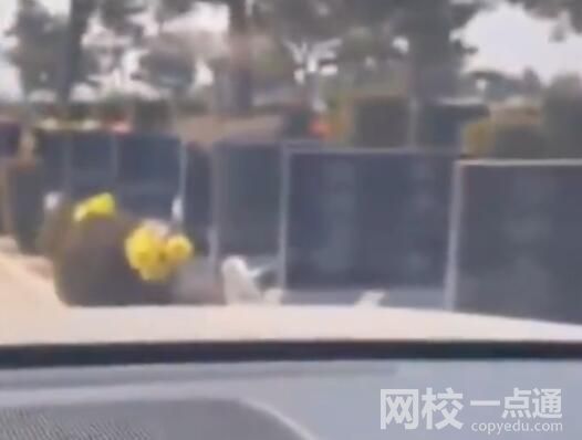 汽車雷達在無人陵園內顯示全是人影 真相令人震驚