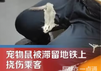 地鐵出現寵物鼠撓傷乘客 原因竟是這樣太崩潰了