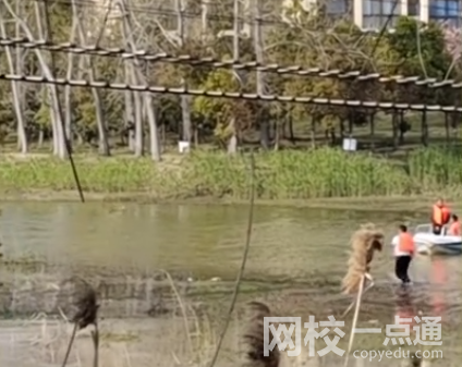 父親為救落水孩子身亡 涉事景區回應 始料未及真相簡直太意外了