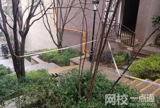 男童高空拋物砸死人 死者家屬起訴內幕簡直太悲劇