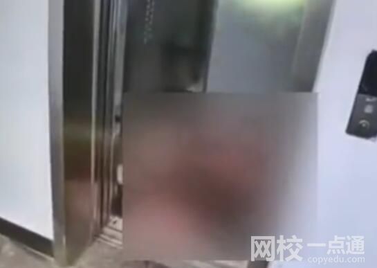 社區辟謠公寓樓電梯內發生命案 究竟是怎么回事？