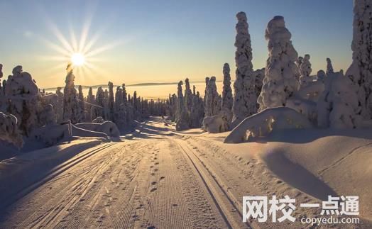 2023年山東科技大學錄取分數(shù)線(2023年高考所有專業(yè)一覽表參考)