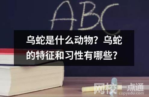烏蛇是什么動(dòng)物？烏蛇的特征和習(xí)性有哪些？