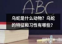烏蛇是什么動物？烏蛇的特征和習性有哪些？