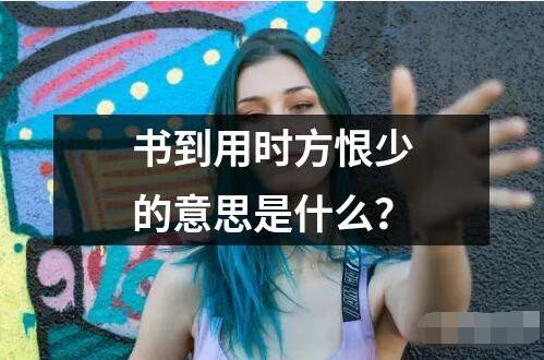書到用時方恨少的意思是什么？
