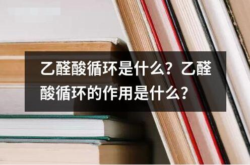 乙醛酸循環是什么？乙醛酸循環的作用是什么？