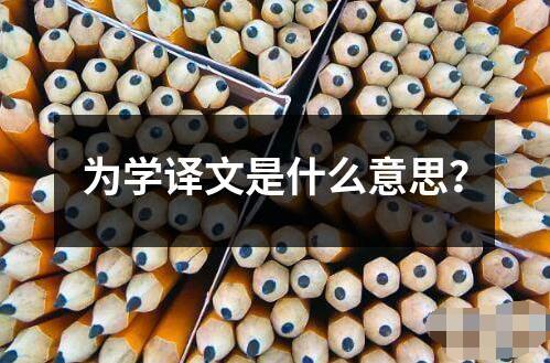 為學譯文是什么意思？