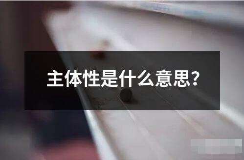 主體性是什么意思？