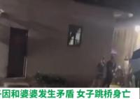 婦聯(lián)回應(yīng)女子與婆婆起爭執(zhí)跳河身亡 實在太慘了